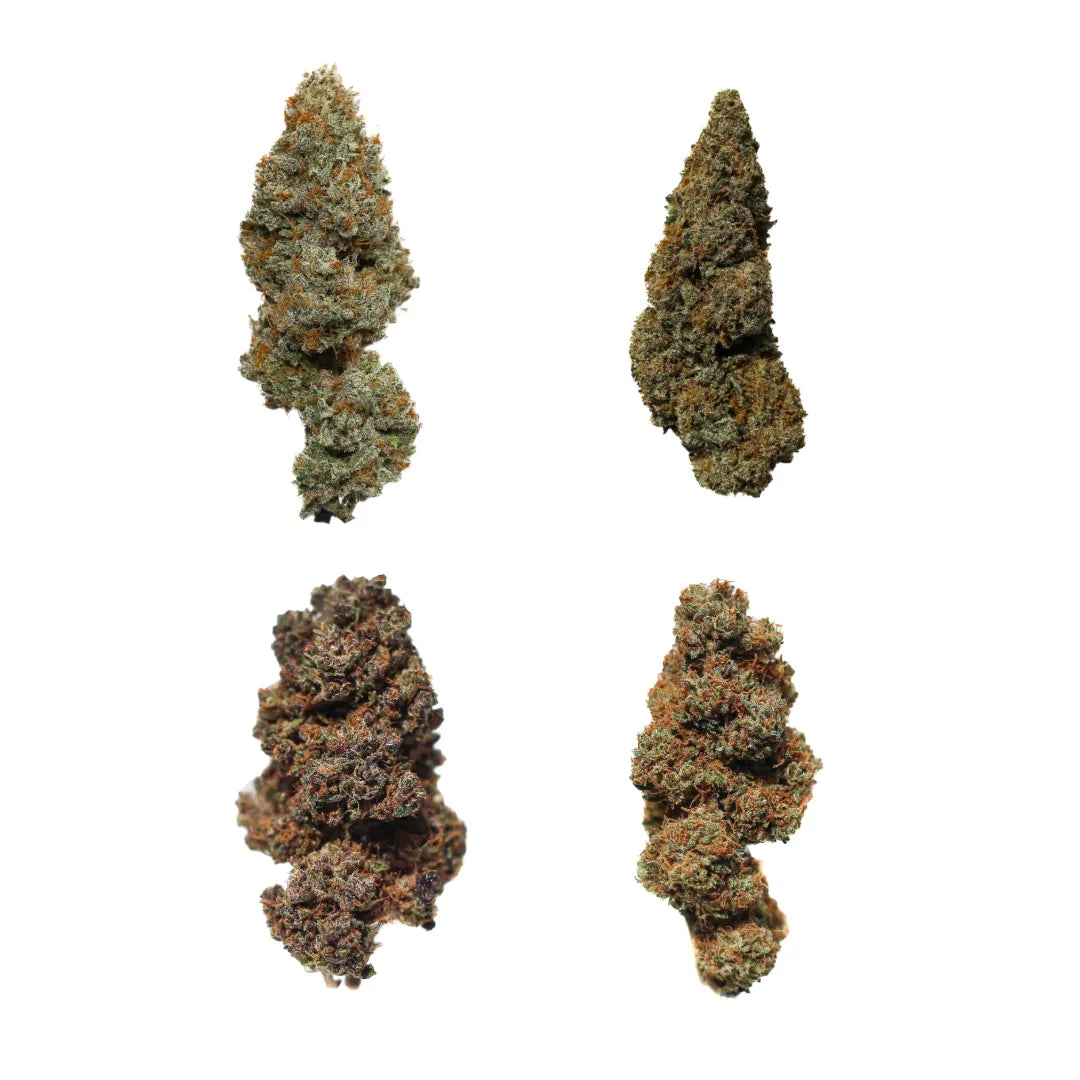 Does Sativa or Indica Make You Sleepy