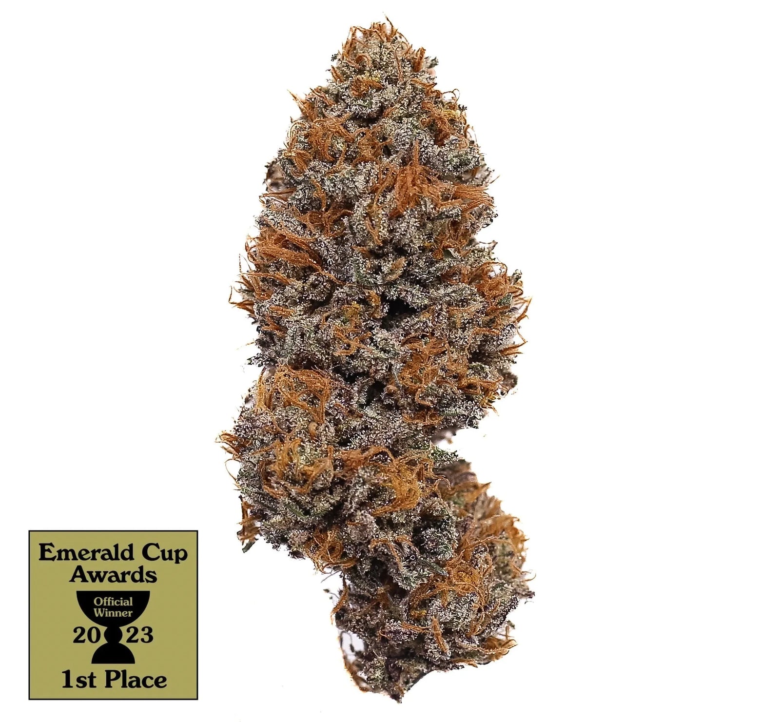 Why Our Godfather OG Strain Is Loved By So Many?