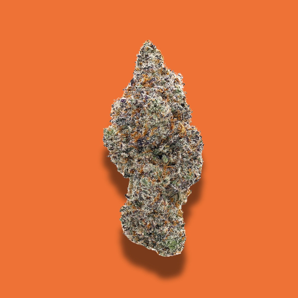 White Chocolate Chip THCA