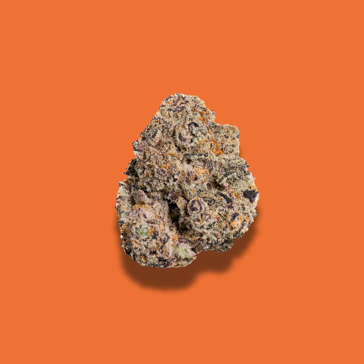 Baja Blasteroid THCA