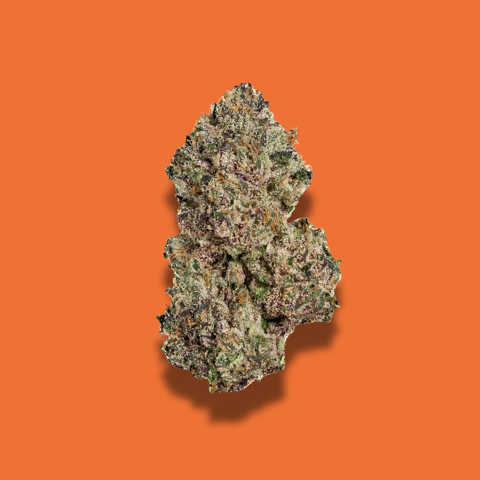 Candy Dripz THCA