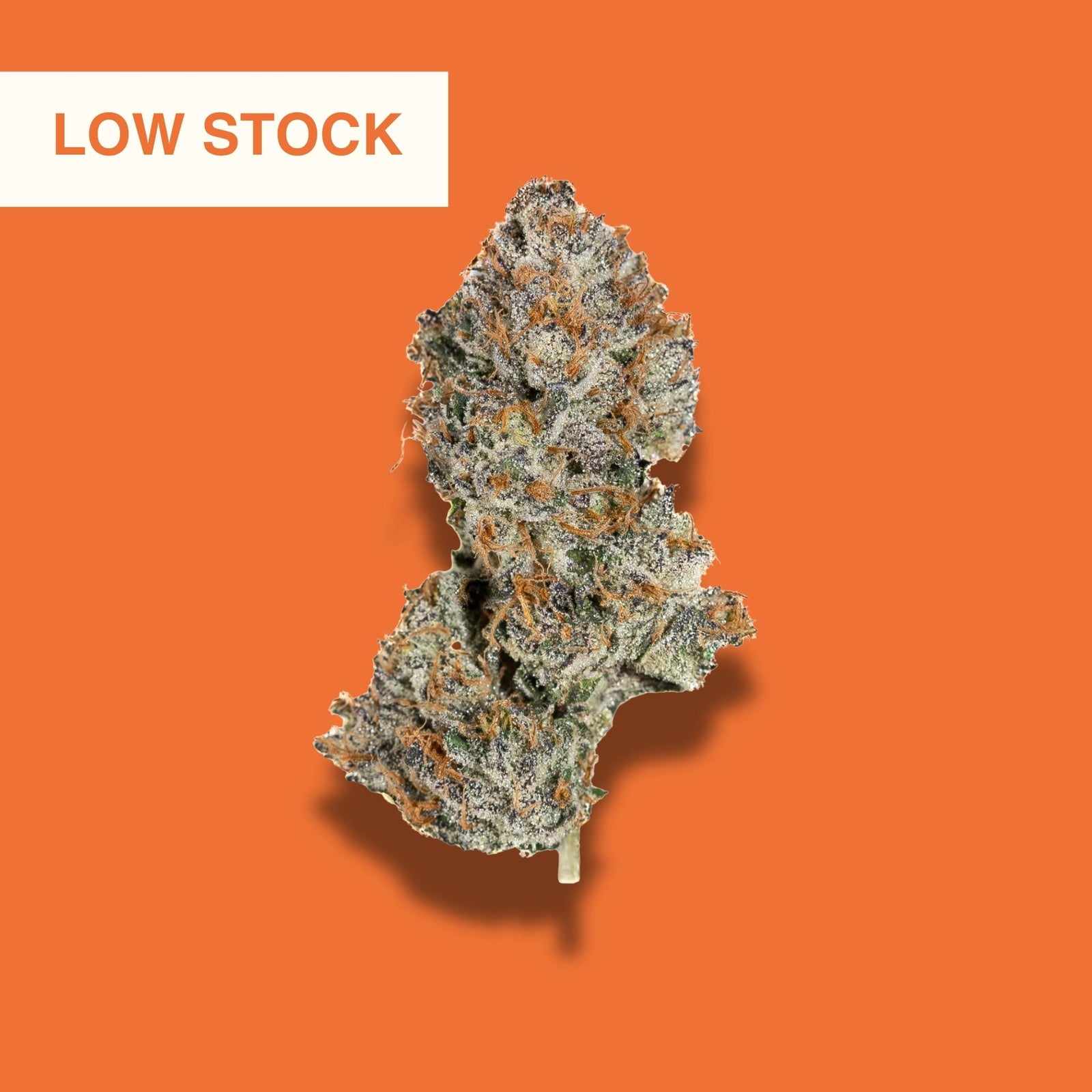 Double Lemon Cherry THCA