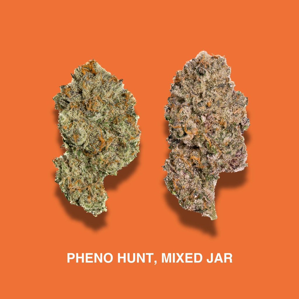 Gogurtz THCA Mixed Phenos