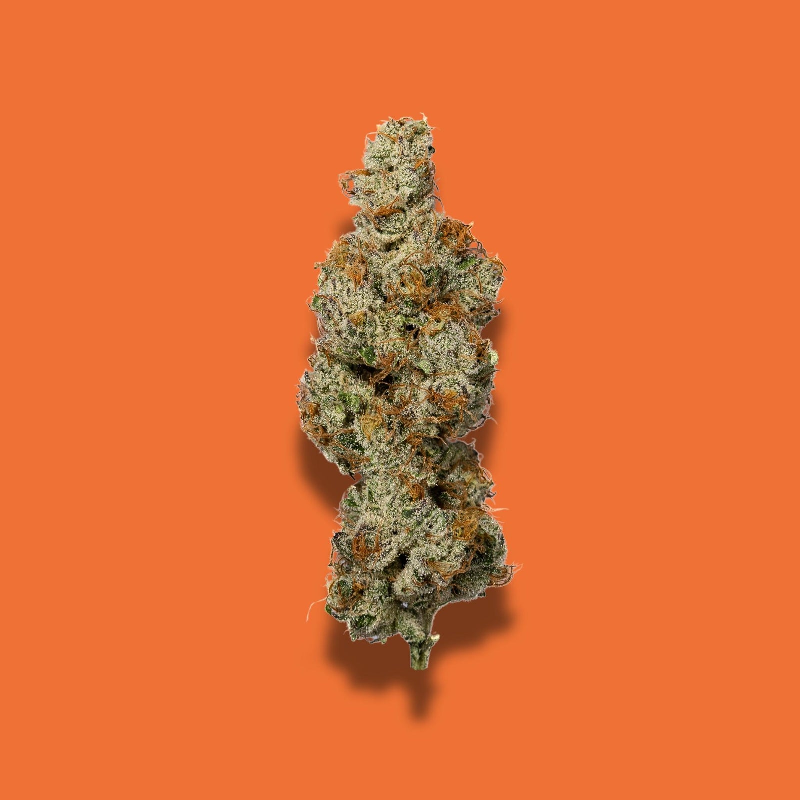 Gogurtz THCa