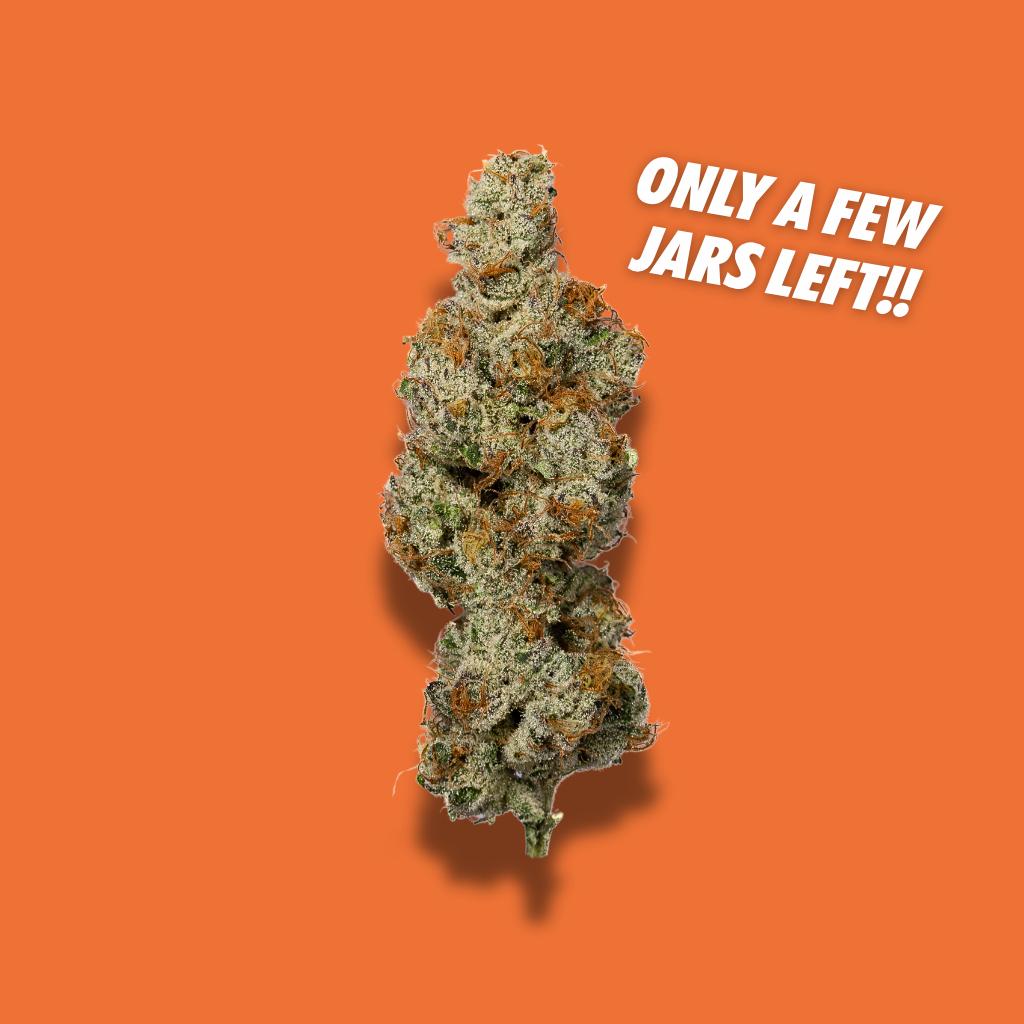 Gogurtz THCa