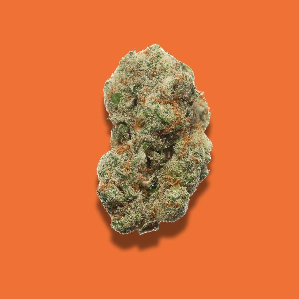 Jungle Driver THCA