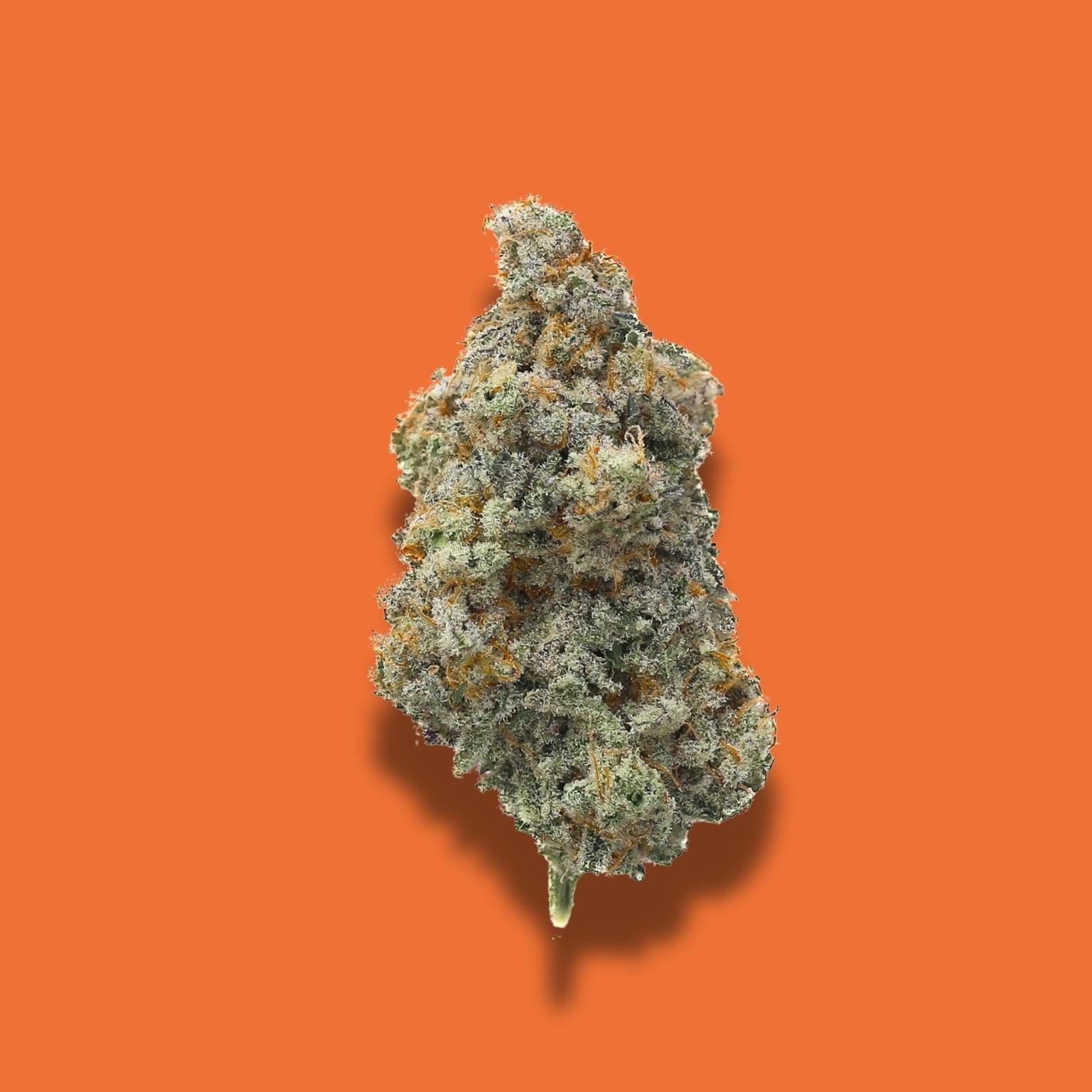 MAC 1 Cap's Cut THCA