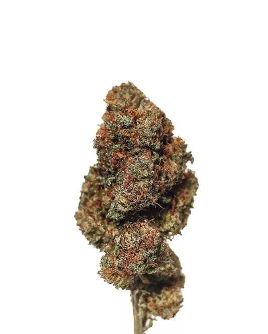 Lemon Fizz Delta-8 Indoor Flower